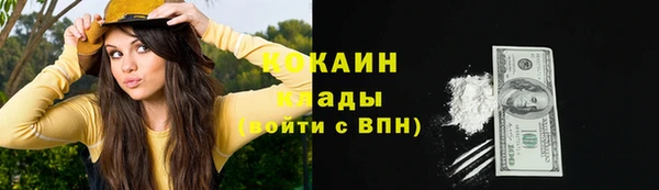 шишки Бородино